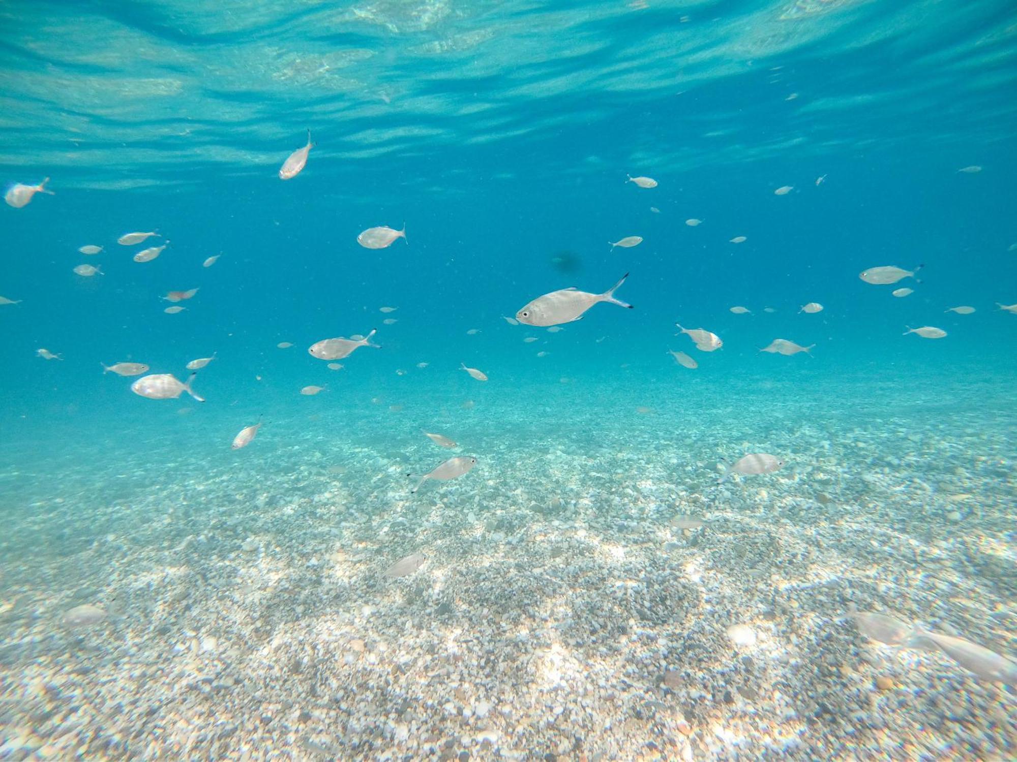 Complejo Turistico Los Bayiyos Agua Amarga  Bagian luar foto