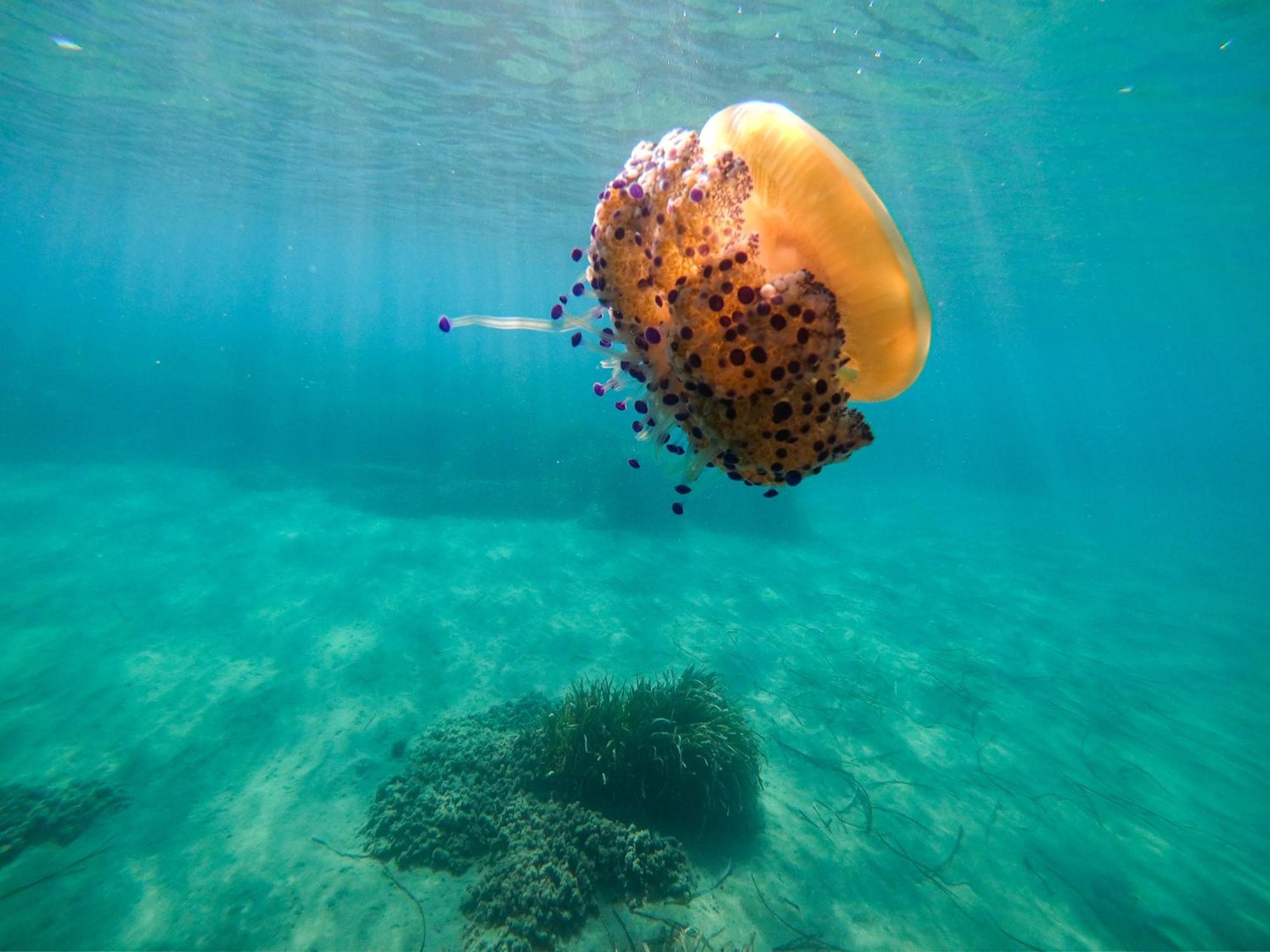 Complejo Turistico Los Bayiyos Agua Amarga  Bagian luar foto